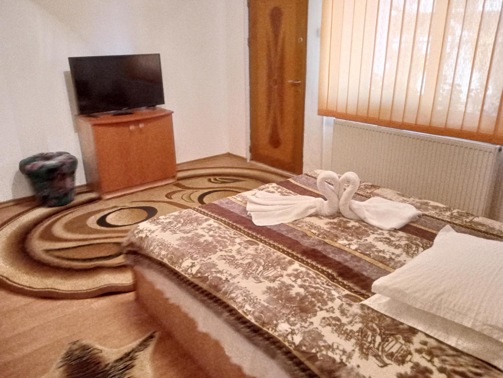 Pensiunea Irina 1 Si 2 Zărneşti Exterior foto