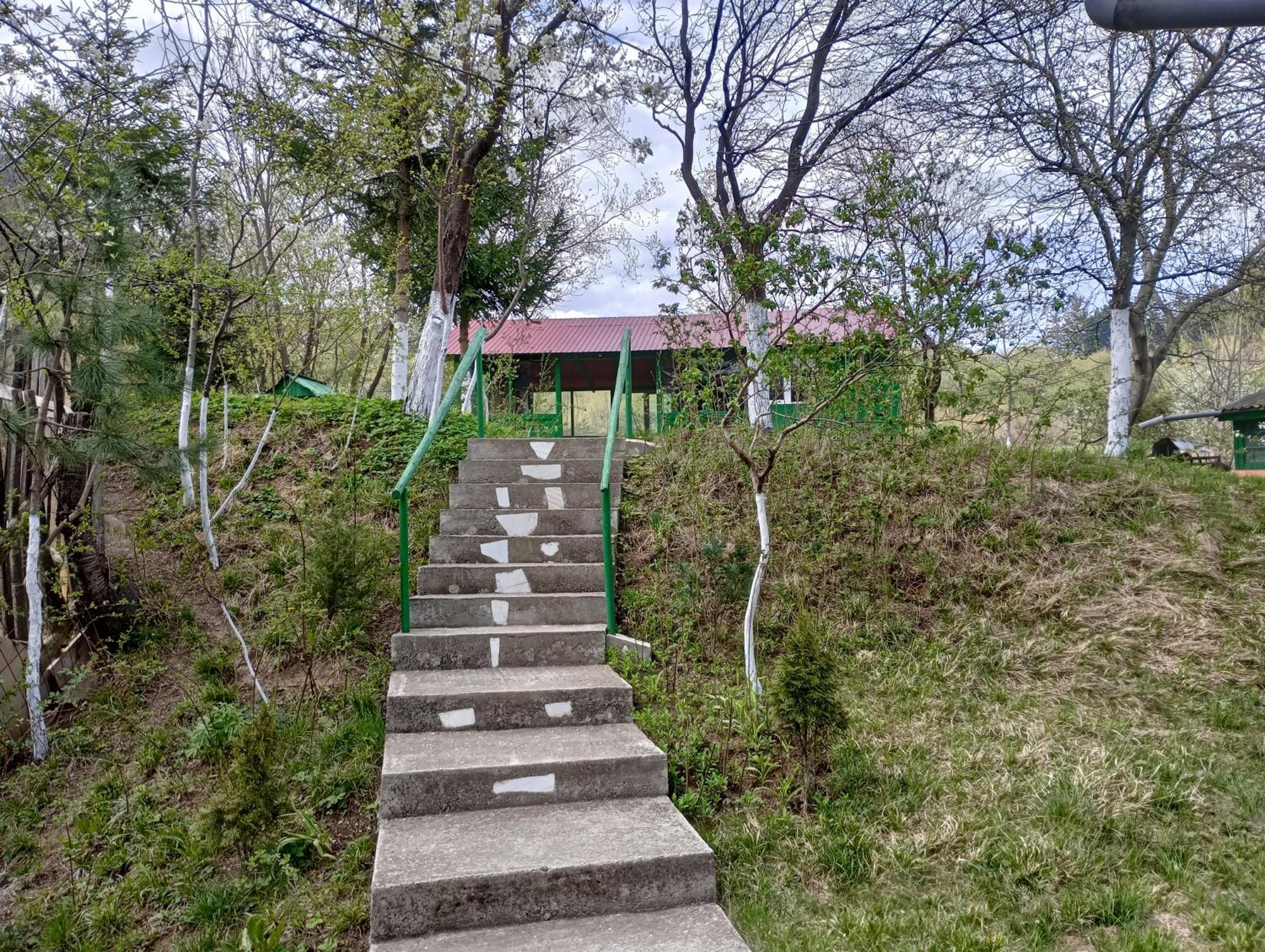 Pensiunea Irina 1 Si 2 Zărneşti Exterior foto