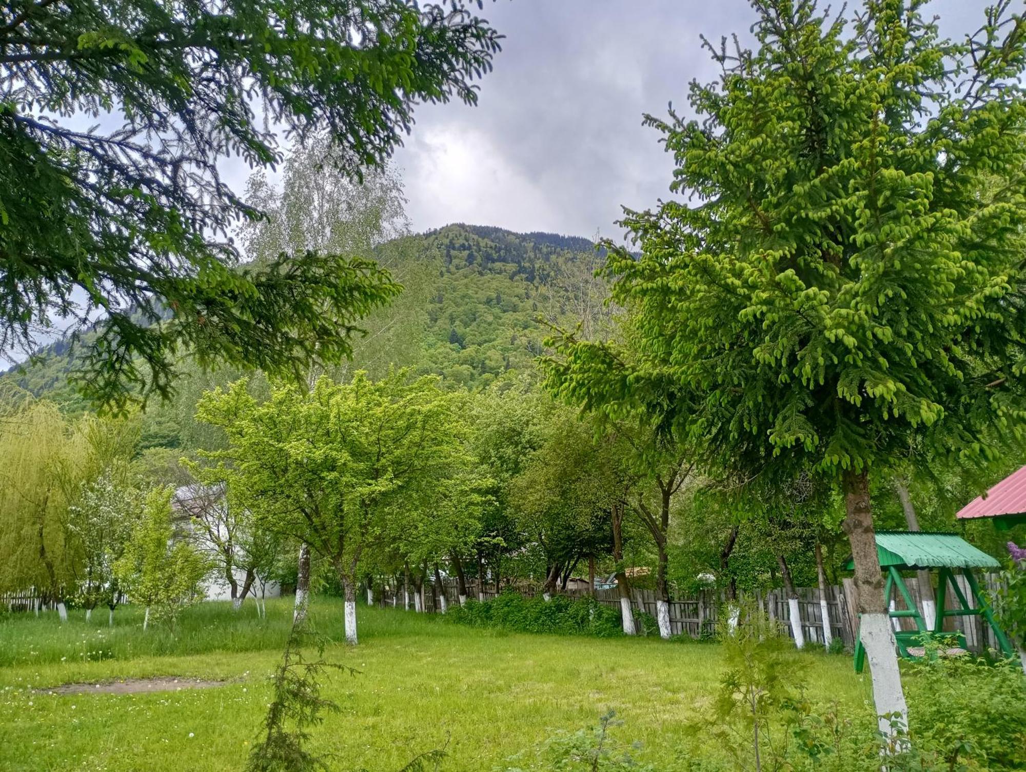 Pensiunea Irina 1 Si 2 Zărneşti Exterior foto