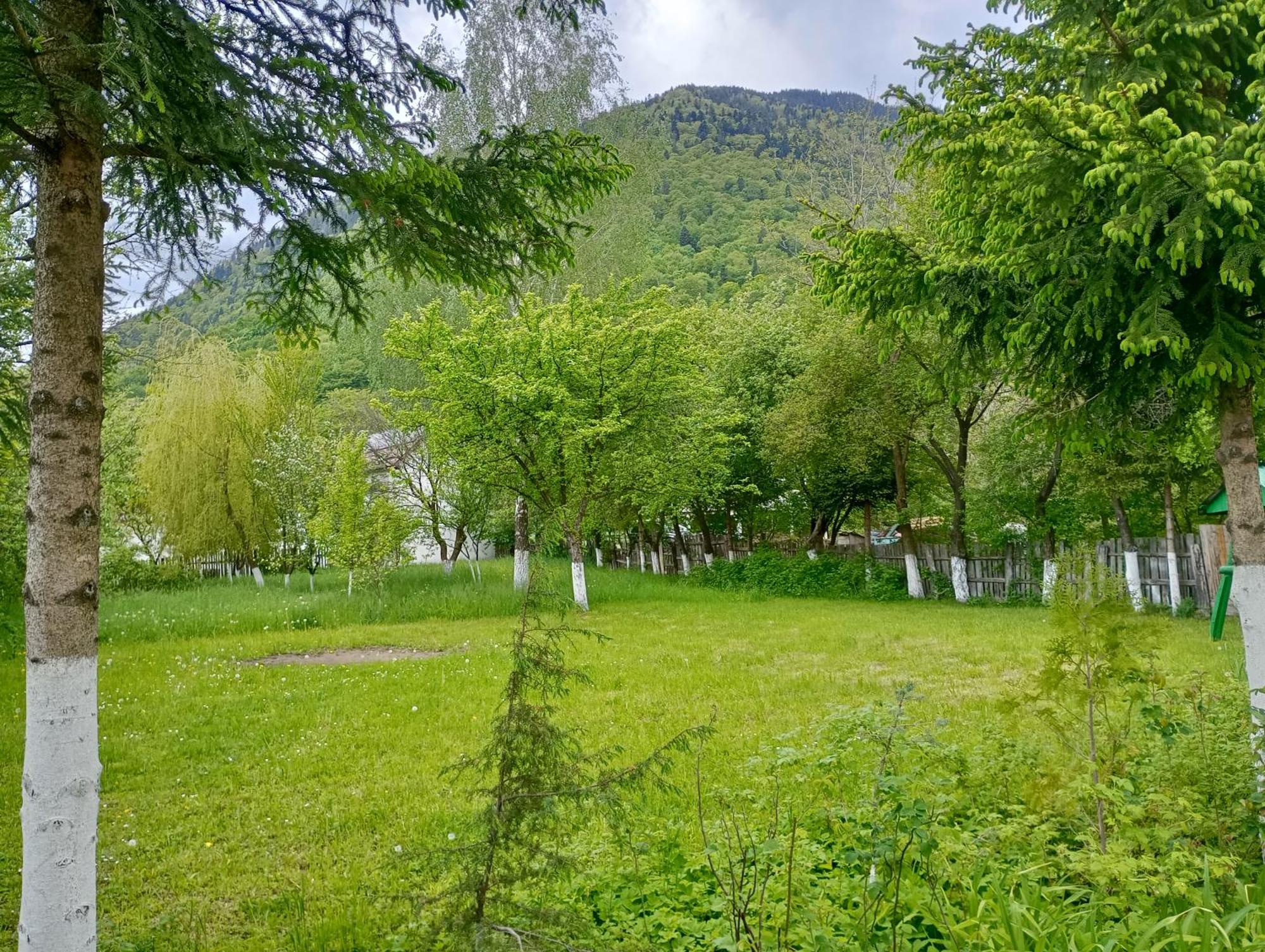 Pensiunea Irina 1 Si 2 Zărneşti Exterior foto